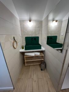 ein Badezimmer mit zwei grünen Waschbecken und einem Spiegel in der Unterkunft Charmant studio in Bastia