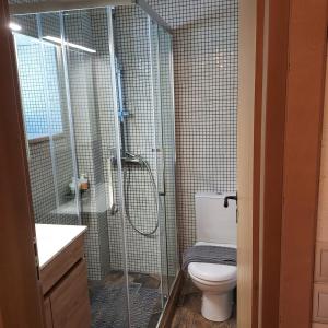 a bathroom with a shower and a toilet and a sink at AROANIA suites in Zarouchla