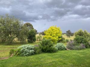 a garden with bushes and trees in a field at Meander Retreat - The Green Room in Springton