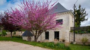 un árbol con flores rosas delante de un edificio en Gîte Saumur Le Pigeonnier, Calme et Cosy, en Épieds