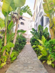 a path in the middle of a building with plants at Bonito piso a 300m de la playa Nerja in Nerja