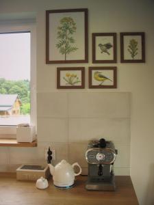 a kitchen with a juicer and a tea kettle on a counter at Przewietrzona Głowa in Ponikwa