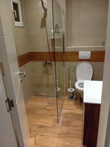 Un baño de Apartman centar SD