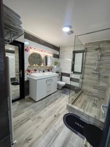 bagno con doccia, lavandino e servizi igienici di Casa Boila a Bîrsana