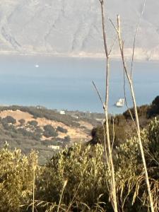 Φωτογραφία από το άλμπουμ του AIOLOS VILLA ELLIA Astrikas chania στο Βασιλόπουλο