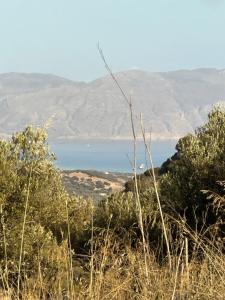 Φωτογραφία από το άλμπουμ του AIOLOS VILLA ELLIA Astrikas chania στο Βασιλόπουλο