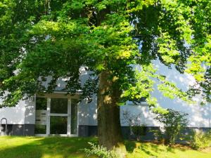 a tree in front of a white house at Apartment am Schillerteich in Wolfsburg