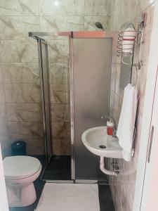 ein Bad mit einer Dusche, einem Waschbecken und einem WC in der Unterkunft Hobbitköy giresun in Giresun