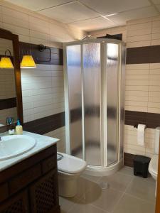 Un baño con ducha, inodoro y lavabo. en Casco Antiguo PONDOS, en Linares