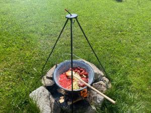 una padella di cibo sta cuocendo su una griglia di Nepomuk pod Prahou 