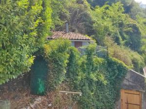Fotografia z galérie ubytovania hébergements entiers Two homes T1 bas or T1 haut -Aux Terrasses du Pech v destinácii Foix