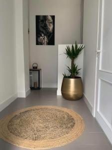 um quarto com um vaso de plantas no chão em Antwerp West Side Attic em Zwijndrecht