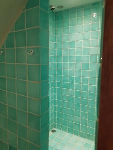 y baño con ducha de azulejos azules y aseo. en Studio en voûte en Bauduen