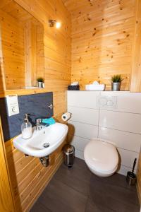 a bathroom with a white sink and a toilet at 5 Sterne Ferienhaus Tommy mit Kamin, Seeblick und großer Terrasse in Rieden