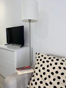een woonkamer met een tv en een kussen en een lamp bij Apartment Gala S in Kotor