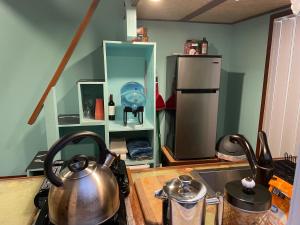 a kitchen with a stove with pots and pans at Country Cottage in Papa Bay in Papa Bay Estates