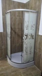 La salle de bains est pourvue d'une douche avec des portes en verre. dans l'établissement TC Vest Residence, à Leţcani