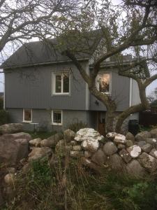 a house with a tree and rocks in front of it at Charmig Ölandsgård in Köpingsvik