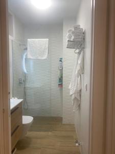 een badkamer met een douche, een toilet en een wastafel bij Casa Rural 3 en un fantástico legado in Alfacar