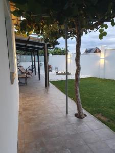 un patio con un árbol junto a una pared blanca en Casa Flor Delfin Ribadeo en Ribadeo