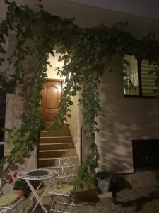 a room with a door and a bunch of vines at ВИЛА СВИЛА in Sozopol