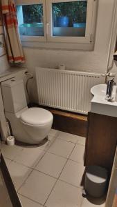 uma casa de banho com um WC, um lavatório e uma janela em Casa Nemea em Neuenegg