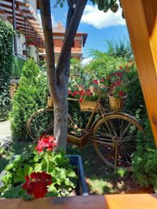 uma bicicleta estacionada ao lado de uma árvore com flores em NIKI HOUSE em Bansko