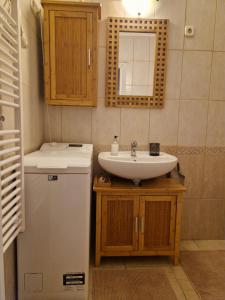 a small bathroom with a sink and a refrigerator at Clarissa Apartman Eger in Eger