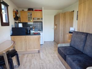 Kuchyňa alebo kuchynka v ubytovaní Appartement - Combloux