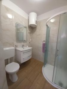 a bathroom with a toilet and a sink and a shower at Accommodation Drasko in Korčula