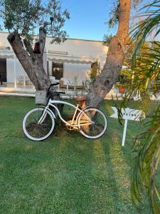 una bicicletta è parcheggiata accanto a un albero di Salento Villa Don Peppino a San Foca