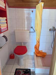 a bathroom with a red toilet and a shower at TURIZEM GRABRIJAN, Jasmina Grabrijan s.p. in Adlešiči