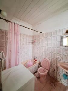 a bathroom with a pink toilet and a sink at Bird's Nest in Bhurban