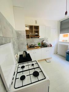 - une cuisine blanche avec cuisinière four à haut fourneau dans l'établissement Appartement T4 Madoumier, à Limoges