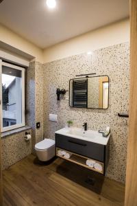 bagno con lavandino, servizi igienici e specchio di Klečka vila B&B rooms a Ogulin