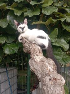 Φωτογραφία από το άλμπουμ του LA TANA DELLA VOLPETTA - Bed & Breakfast σε Stella