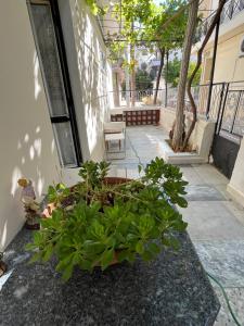 Gallery image of Μονοκατοικία με αυλή και αμπέλι in Piraeus