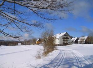 a snow covered field with a house and tracks in the snow at Hexe IV in Hohegeiß