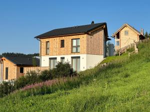 a house on top of a grassy hill at Berglisl - direkt an der Schipiste! Neue Ferienwohnung mit Sauna in Klippitztorl