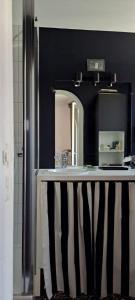 La salle de bains est pourvue d'un miroir et d'un lavabo. dans l'établissement vue sur Rhône, à Lyon