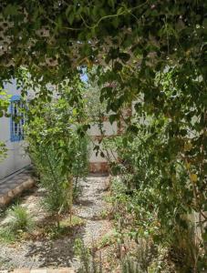 Deroua的住宿－Villa Proche de l'aéroport Mohammed V，一座花园,在一座建筑前种有树木和植物