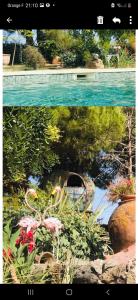 a collage of two pictures of a garden with pink flamingos at Nuit insolite in Vias