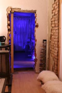 eine blaue Tür in einem Wohnzimmer mit einem Hund in der Unterkunft Fetish-Hostel in Dresden