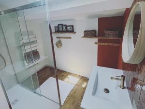 La salle de bains est pourvue d'une douche en verre et d'un lavabo. dans l'établissement Charmante maison de ville avec jardin - MIAMOR, à Castres