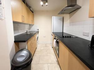 a small kitchen with a sink and a refrigerator at Convenient 2BR Basement Flat in Leith in Edinburgh