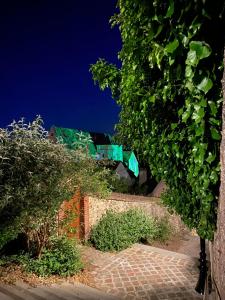 Zahrada ubytování L'ATELIER 14 - Centre ville - Appartement entier- Neuf