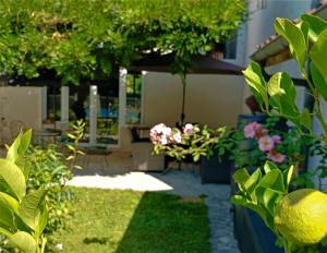 a garden with plants and flowers in a yard at Villa Lortin in Pouillon