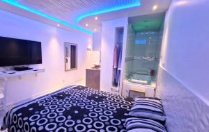 TV a/nebo společenská místnost v ubytování Bron centre appartement meublé avec jacuzzi