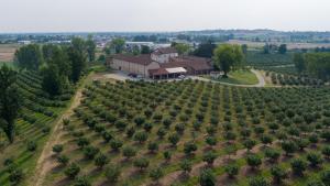 una vista aérea de un viñedo con una casa grande en Cascina Baronina, en Terruggia