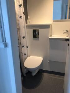 Baño pequeño con aseo y lavamanos en Ruba Apartments - Downtown - Marina - Old Town - Tórshavn, en Tórshavn